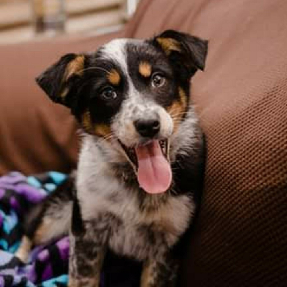 Meet your Posher, Maura